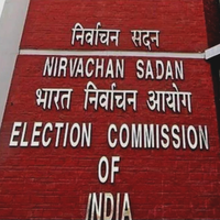 Grand Electoral Scam 