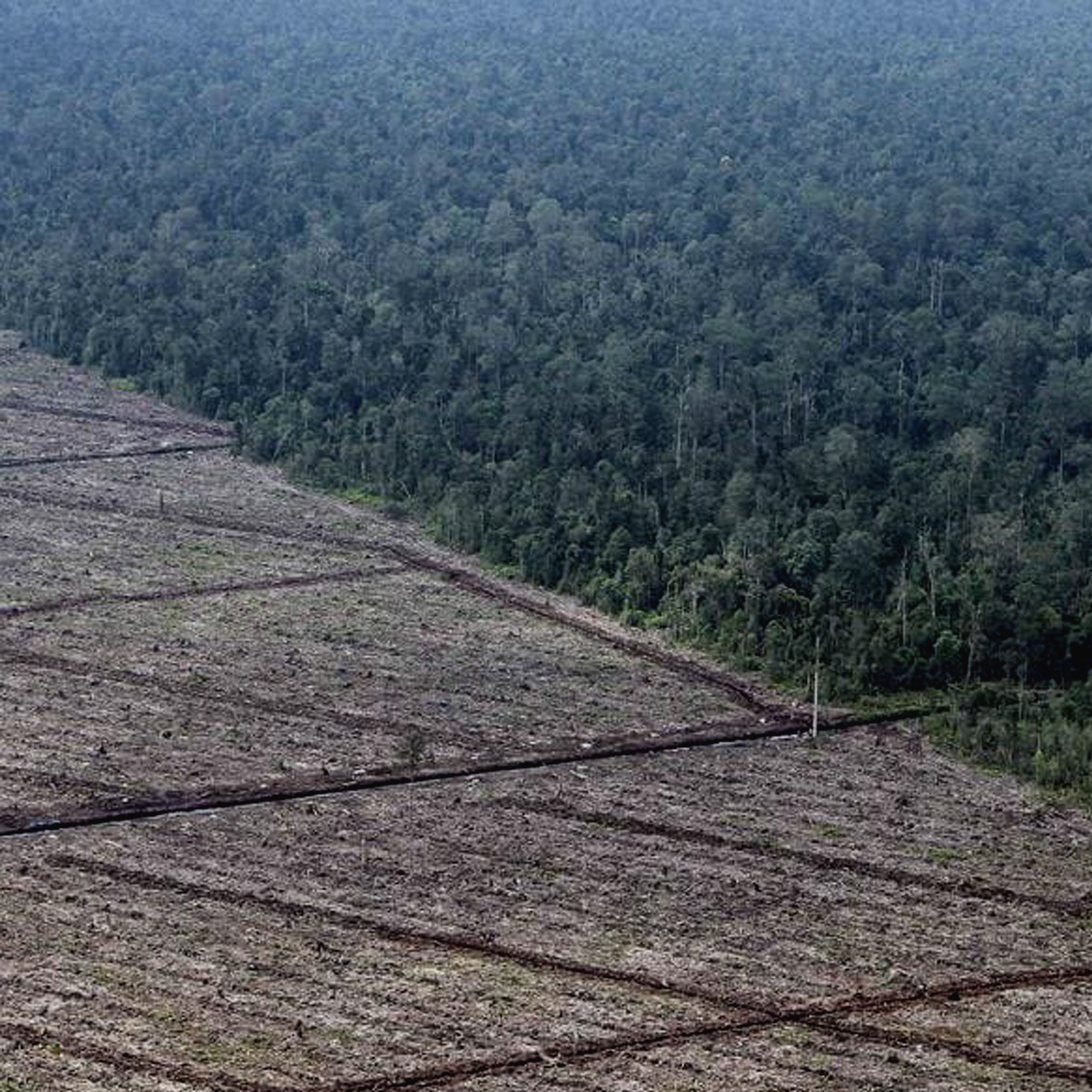 Environment and Left