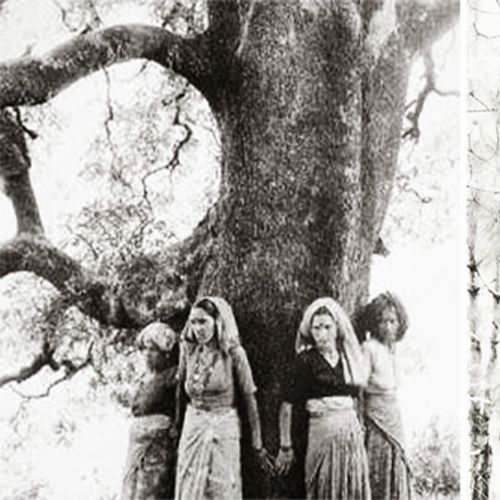 naribad o shrenichetona (3)