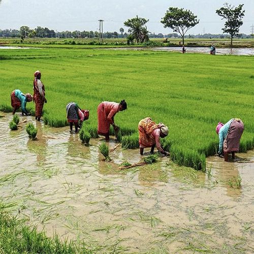 Hammomda jinsiy aloqa qilish uchun qizlar Bir tiyinga jinsiy aloqa qiling