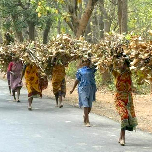 The majoritarian shadow over Adivasi identity, faith