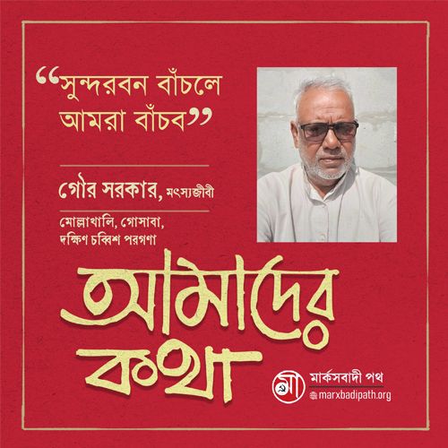 If the Sundarbans survives we will survive