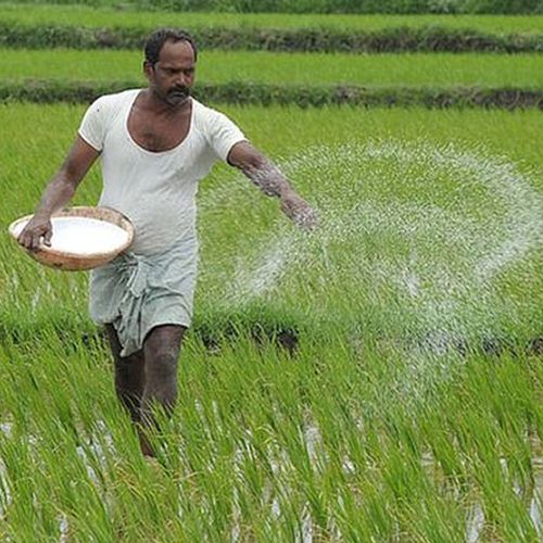 Political economy of income security