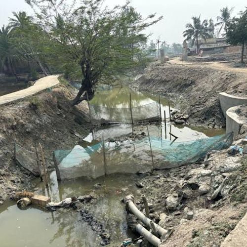 Party-Society, Political-Society and Franchise Politics