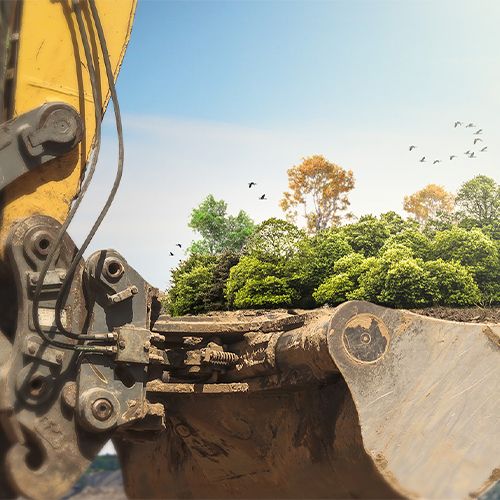 pujir pyache poribesh