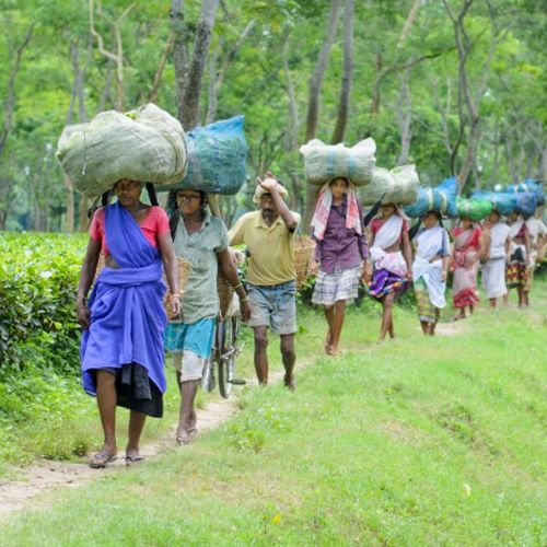 Fund cut for labourers puja allocation overflows 