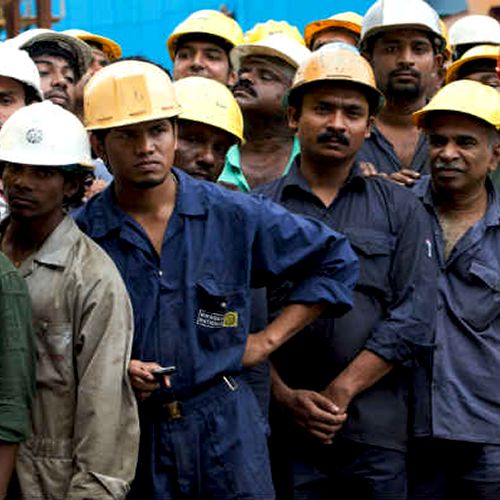 is it just a fight for food