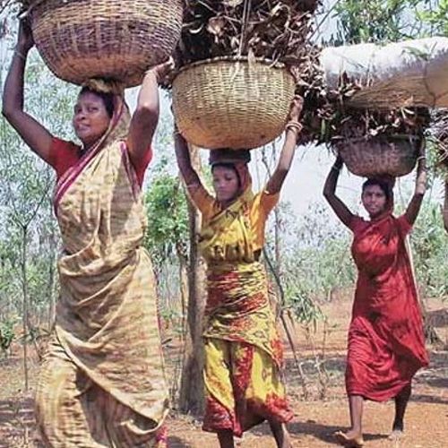 RSS has committed extreme betrayal against the Adivasis